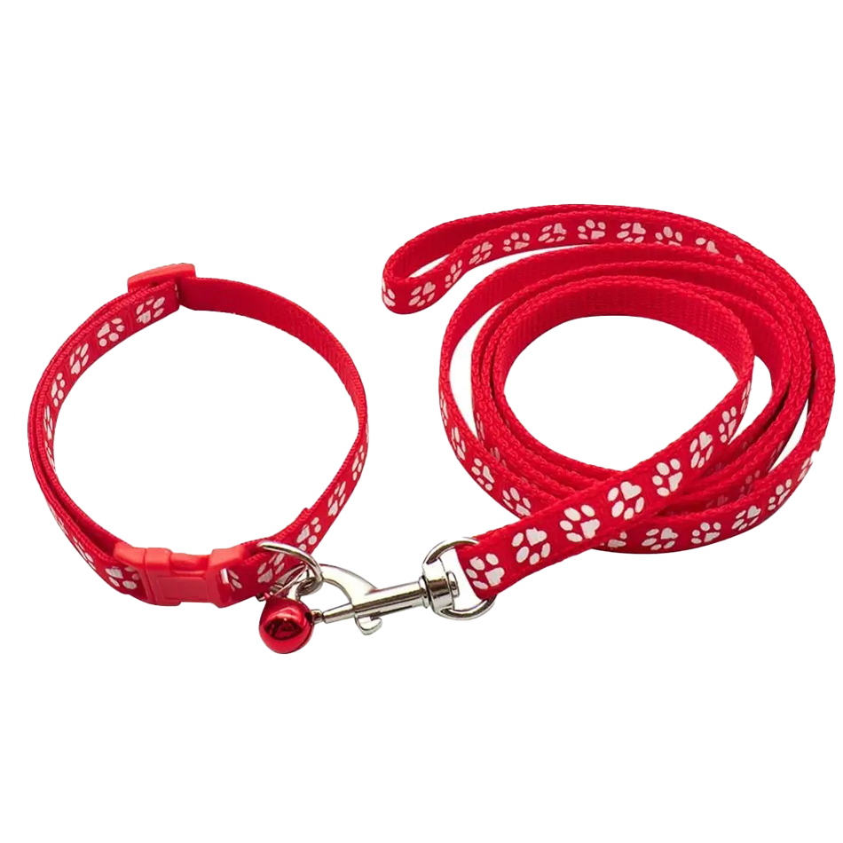 Dog Paw Print Pet Traction Rop - Headcollar Rope Set 评论和价格