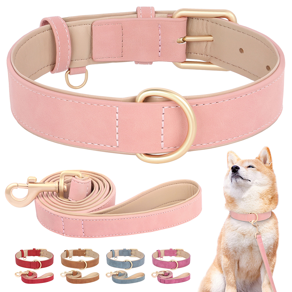 Soft Padded Dog Collar Leash S - Headcollar Rope Set 评论和价格
