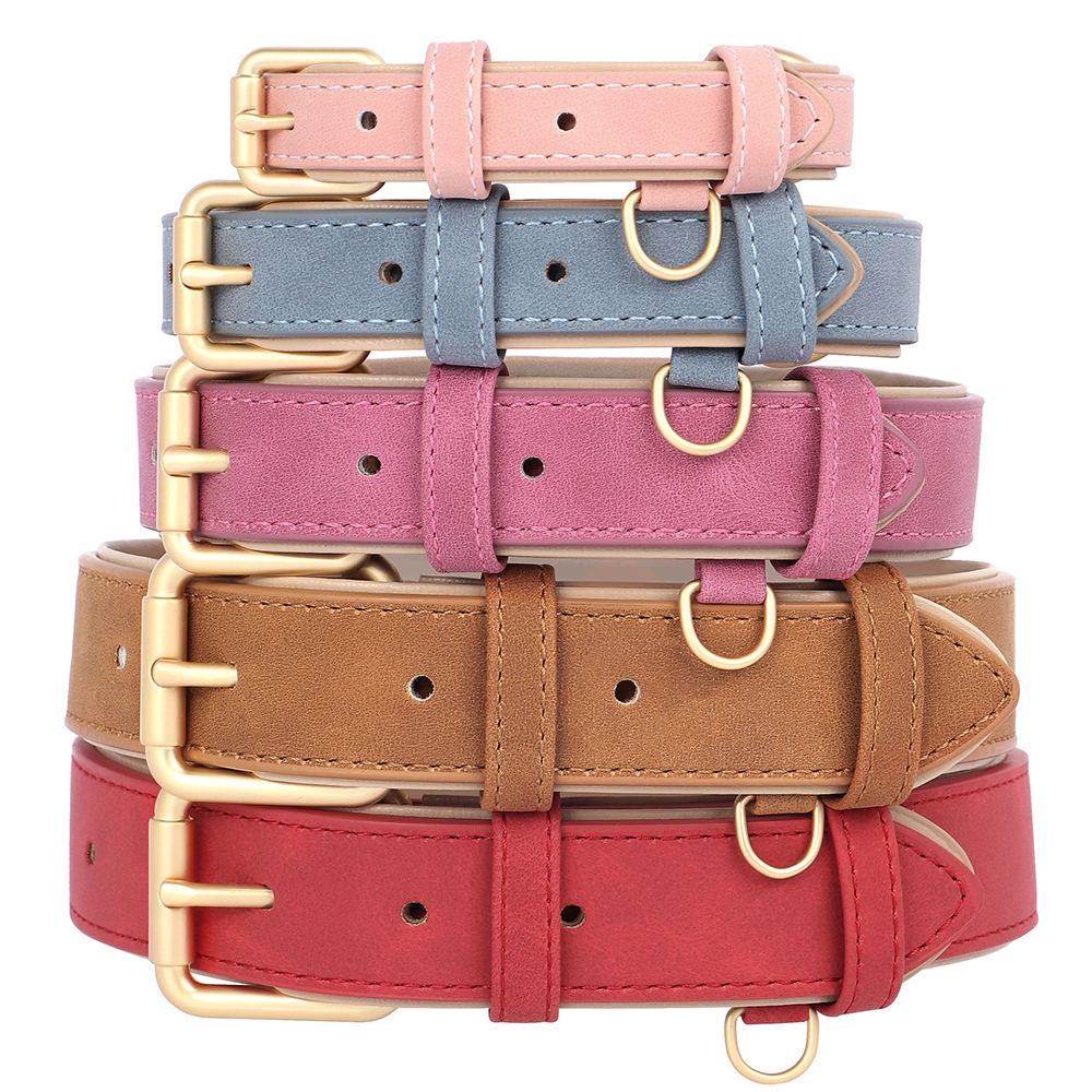 Soft Padded Dog Collar Leash S - Headcollar Rope Set 评论和价格