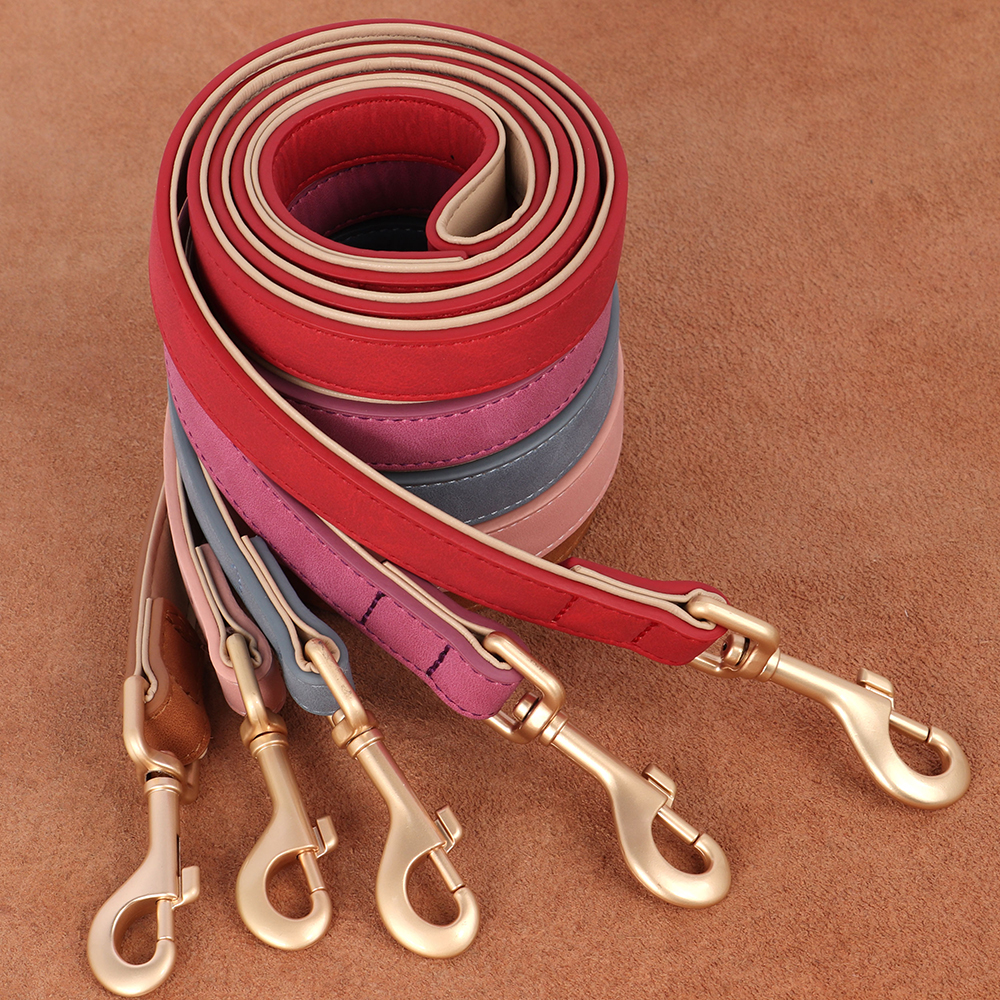 Soft Padded Dog Collar Leash S - Headcollar Rope Set 评论和价格